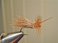 Snowshoe Caddis