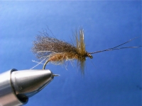 Sedge/caddis varaiant