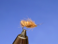 Neversink disc caddis