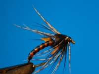 Hatching Duckfly