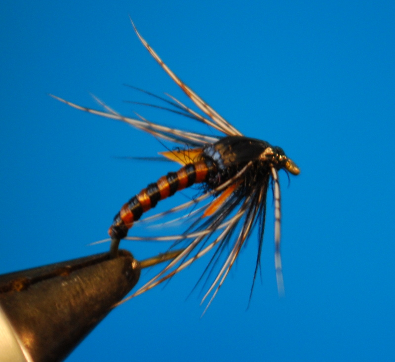 Mer informasjon om "Hatching Duckfly"