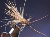 Deer hair & cdc caddis verjon 2