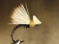 Elk Hair Emerger