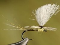 Body quill Baetis Parachute