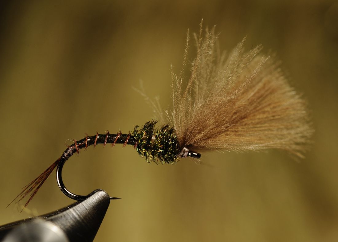 Mer informasjon om "Hatching mayfly"