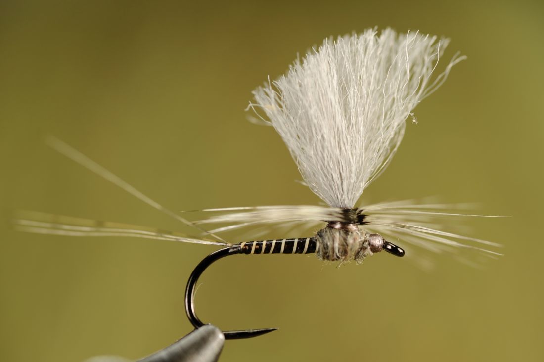 Mer informasjon om "Mosquito dun"