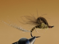 Hatching Mayfly/Danica