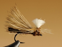 Caddis parachute