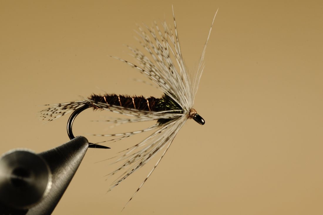 Mer informasjon om "Pheasant tail partiridge"