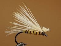 X-caddis