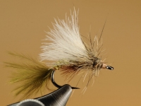 Hatching caddis