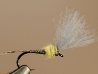 BWO shuttlecock