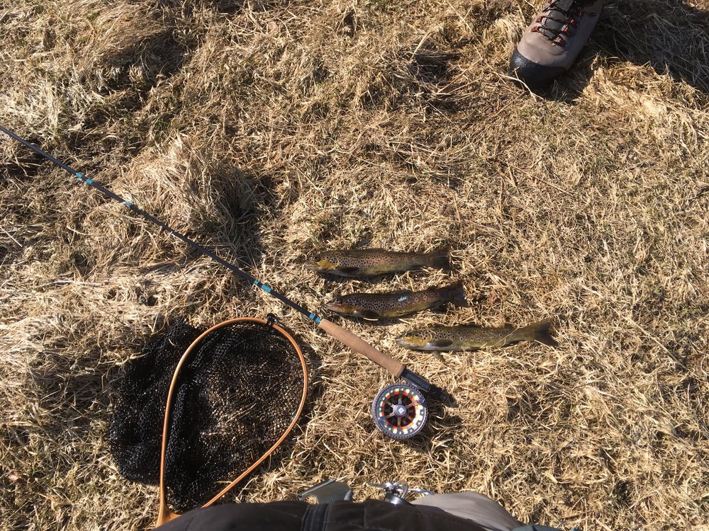 11.04.2018 3.jpg