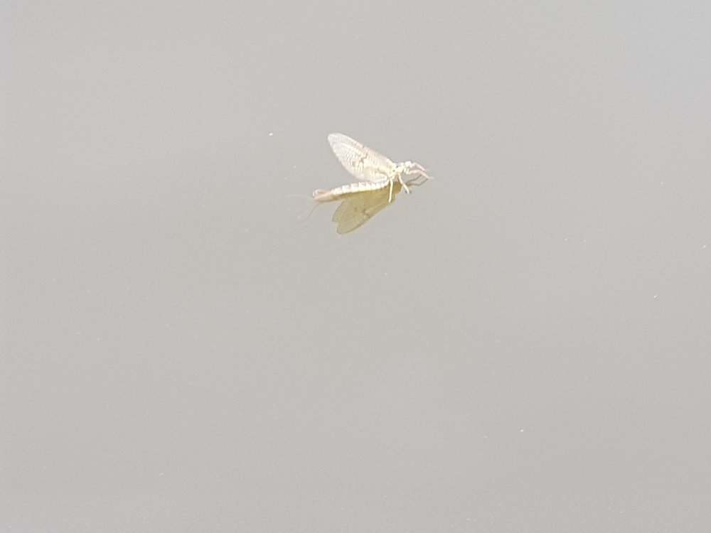 20190530_140436.jpg