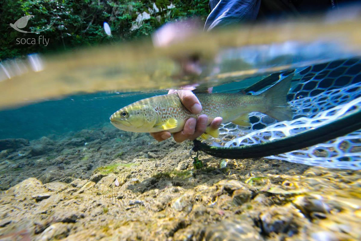 Mer informasjon om "Fluefiske i Sočadalen i Slovenia – reisetips fra en lokal fiskeguide"