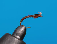 Olive Tubing Buzzer