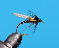 Wet Duck Fly