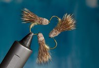 Striking Caddis