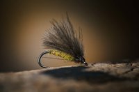 CDC caddis variant