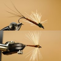 Spent elkhair mayfly