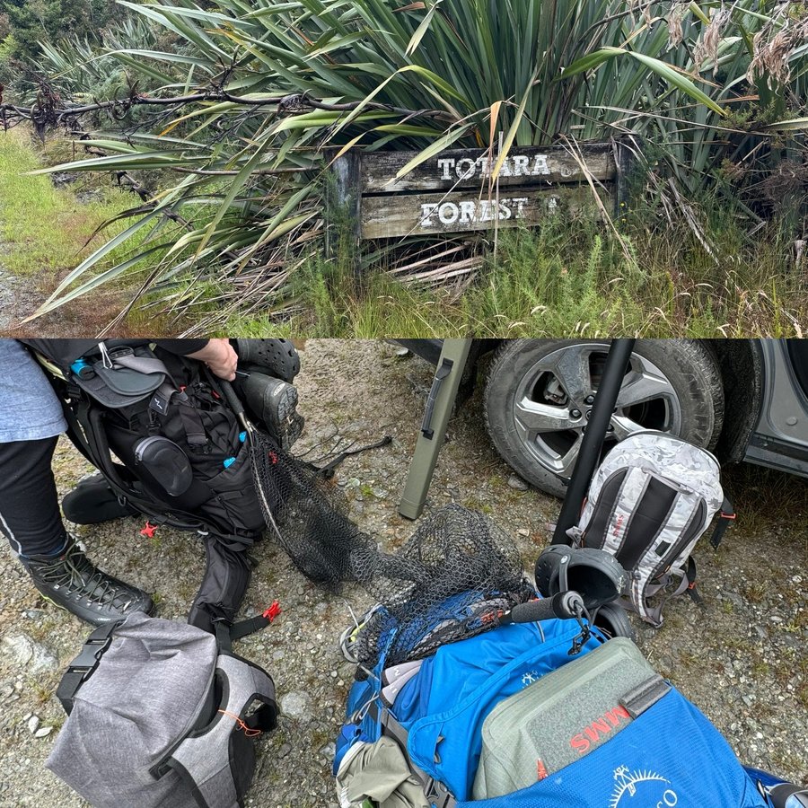 image.thumb.jpeg.4550a21248169bd916ed8306034cc197.jpeg
