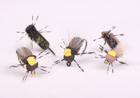 High Viz Beetle